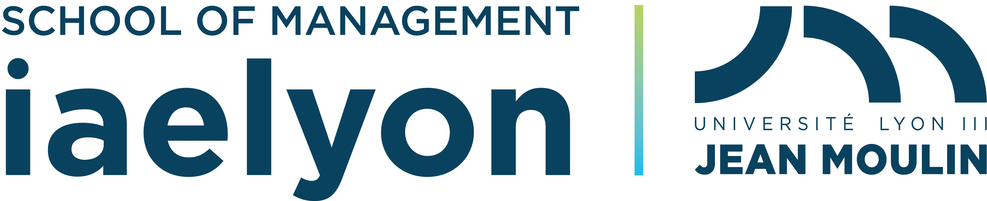logo-iaelyon-bloc-marque-2021